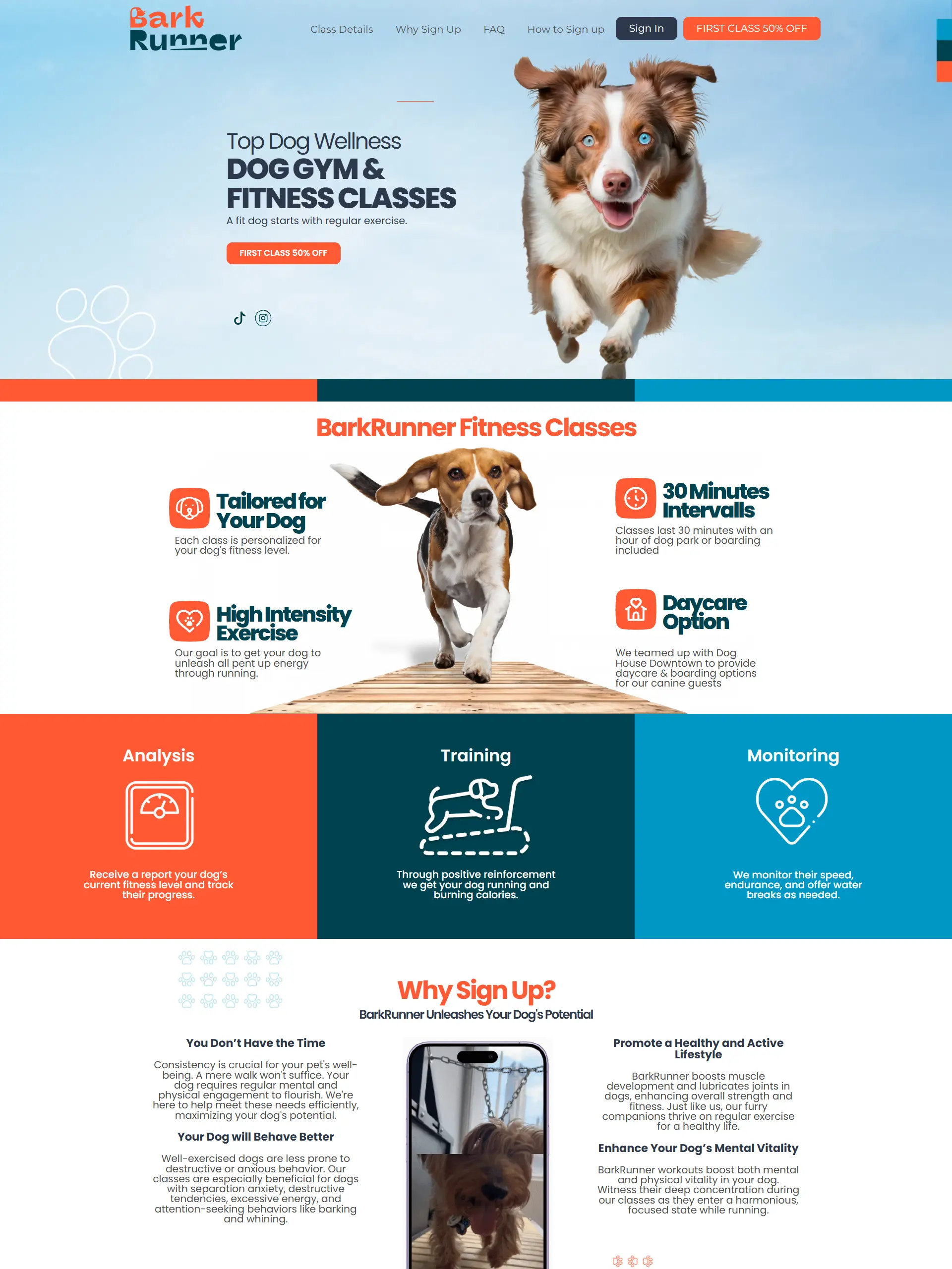 Captura de la web de BarkRunner con sus clases y servicios de ejercicio canino